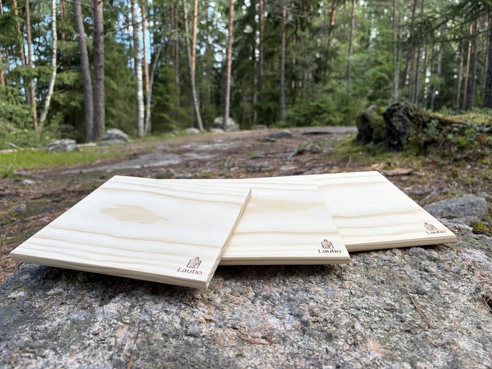 The three boards on a rock in a pine forest