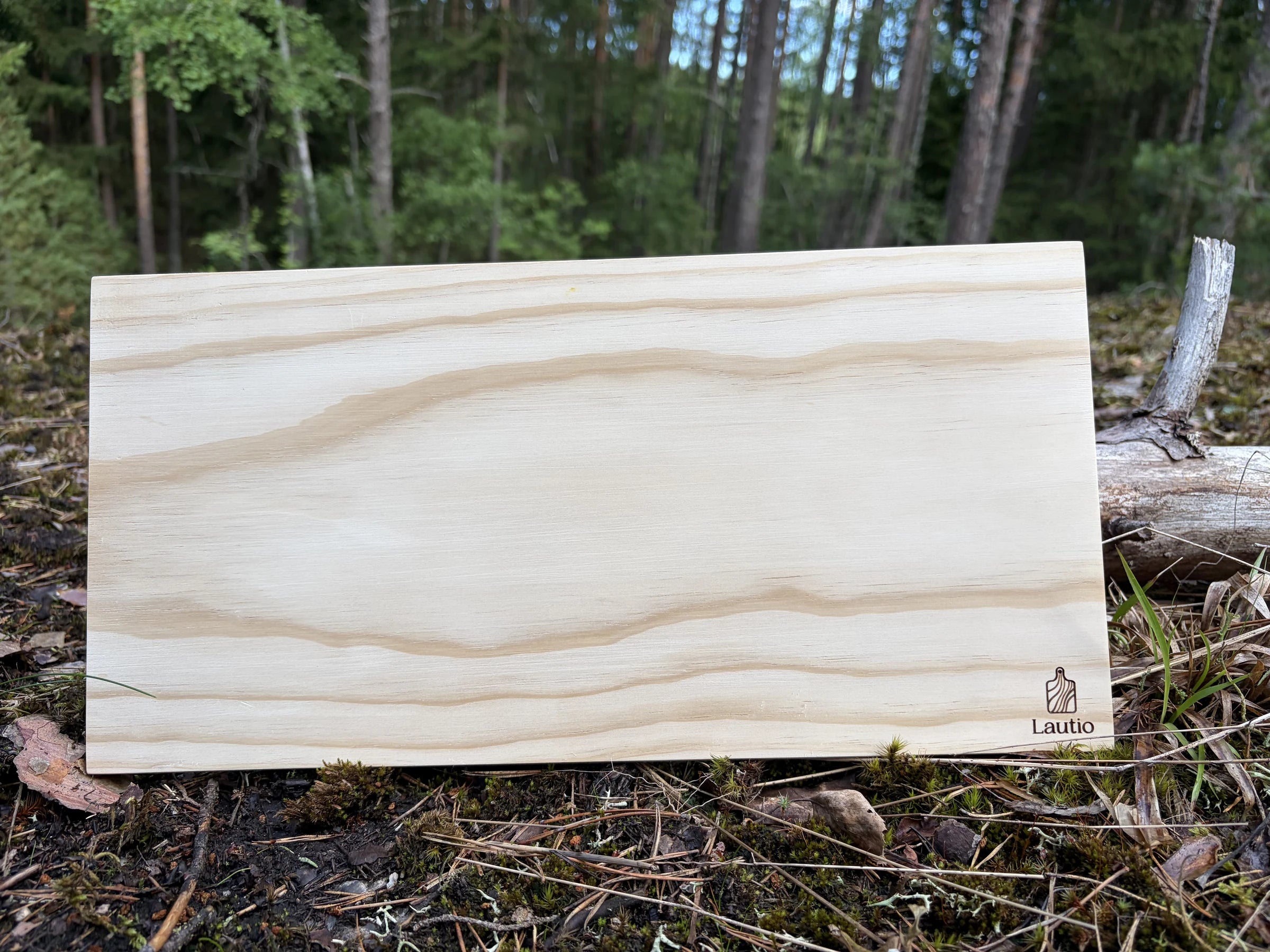 The Lautio board on a fallen log in a pine forest